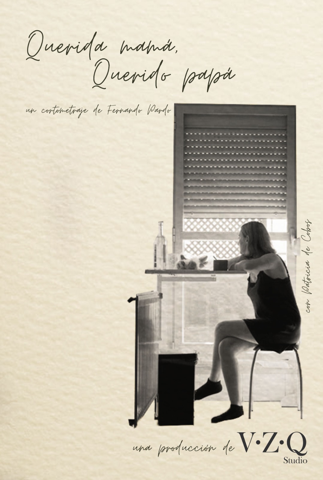 Cartel de Querida mamá, querido papá